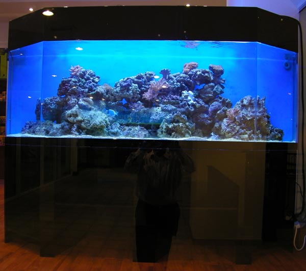 acrylic-fish-tank-012