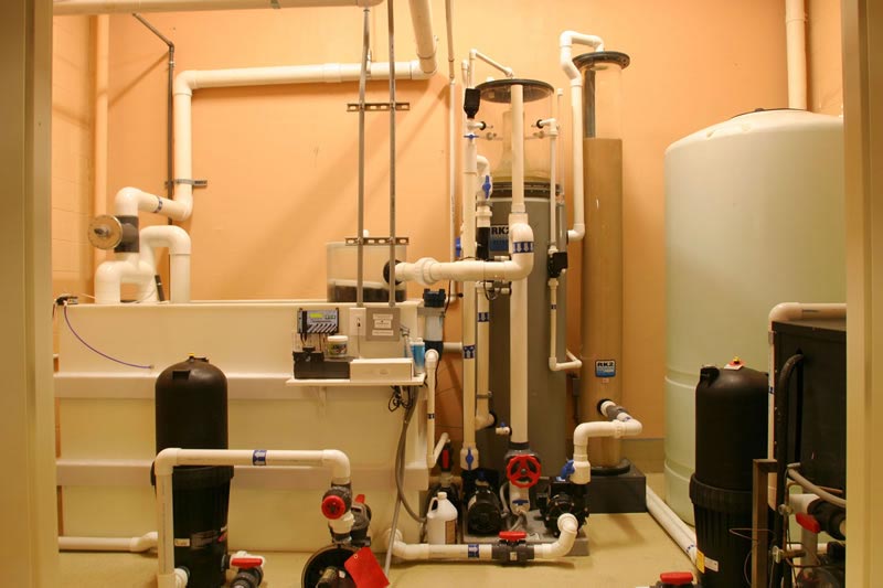 Life Support Systems Acrylic Aquariums UK Ltd