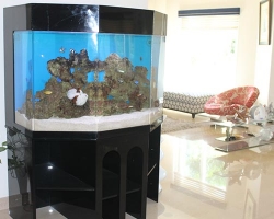 acrylic-fish-tank-002