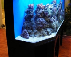 acrylic-fish-tank-013
