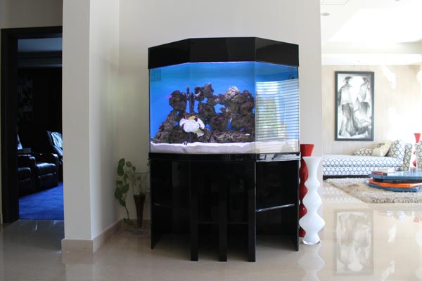 acrylic-fish-tank-001