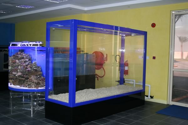 acrylic-fish-tank-021