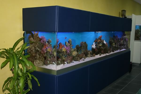 acrylic-fish-tank-026