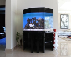 acrylic-fish-tank-001