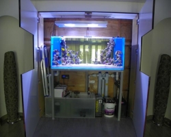 acrylic-fish-tank-011