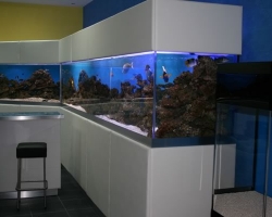 acrylic-fish-tank-023