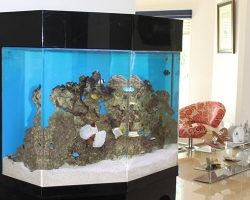acrylic-fish-tank-003